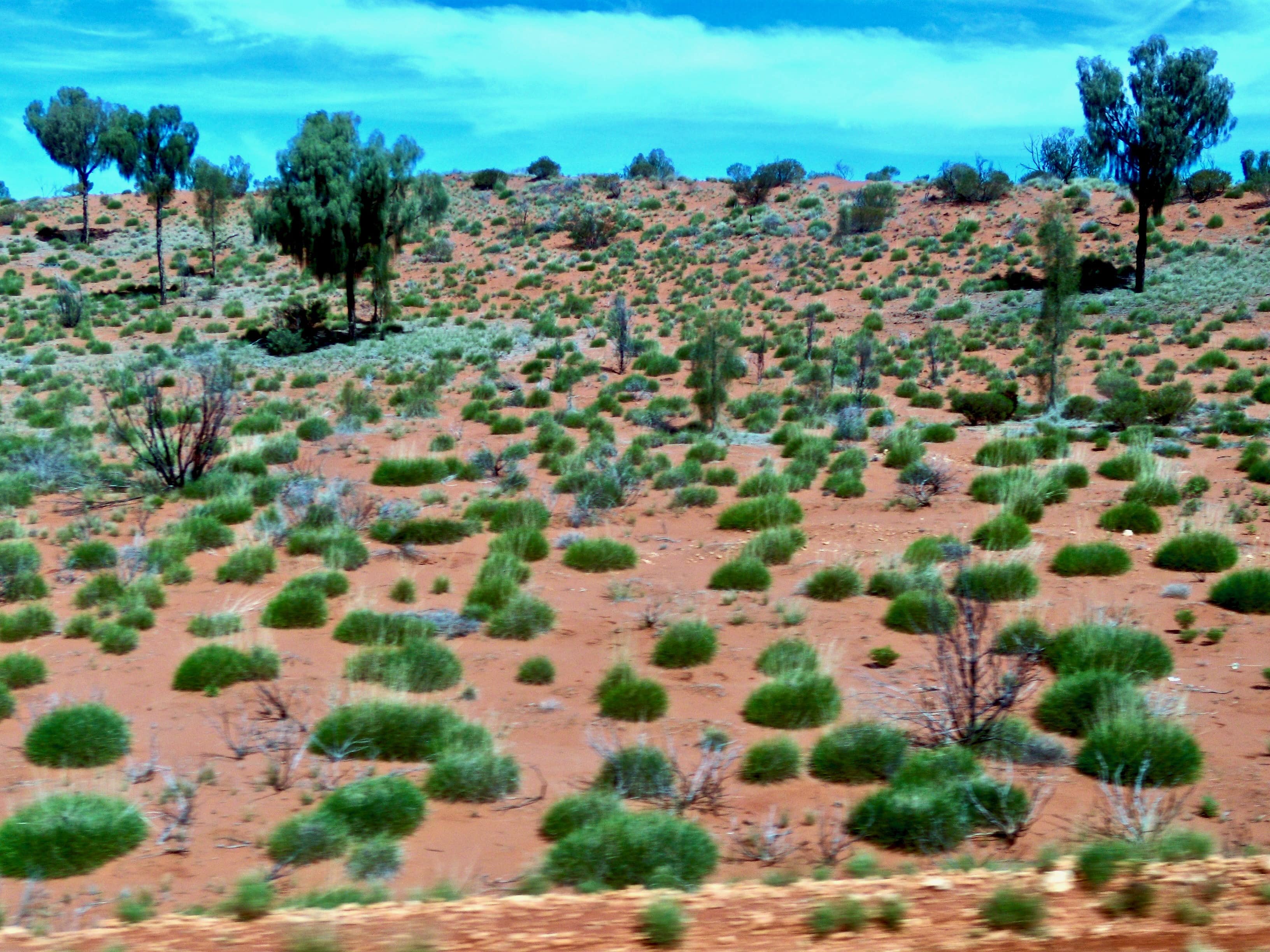 Desert Outback Australie